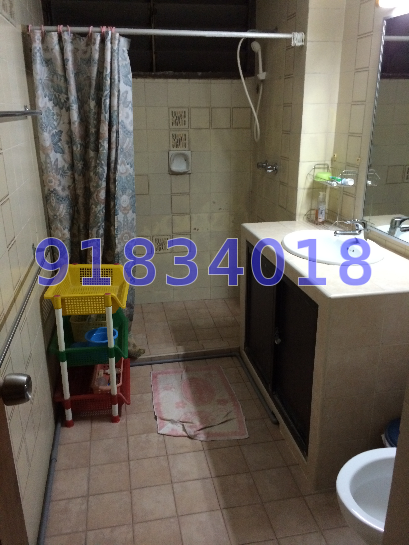 Sherwood Towers (D21), Apartment #45515612